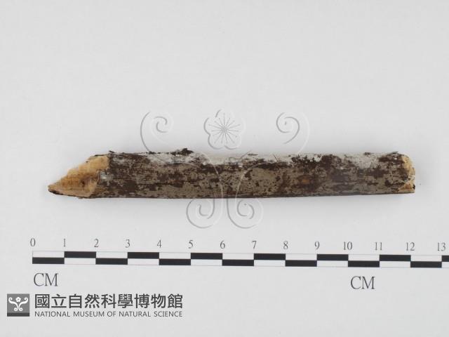 登錄號:F0009912藏品圖，第3張