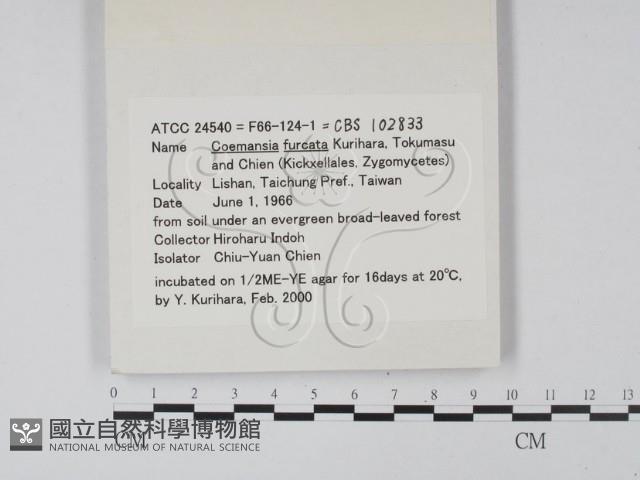 登錄號:F0010612藏品圖，第3張