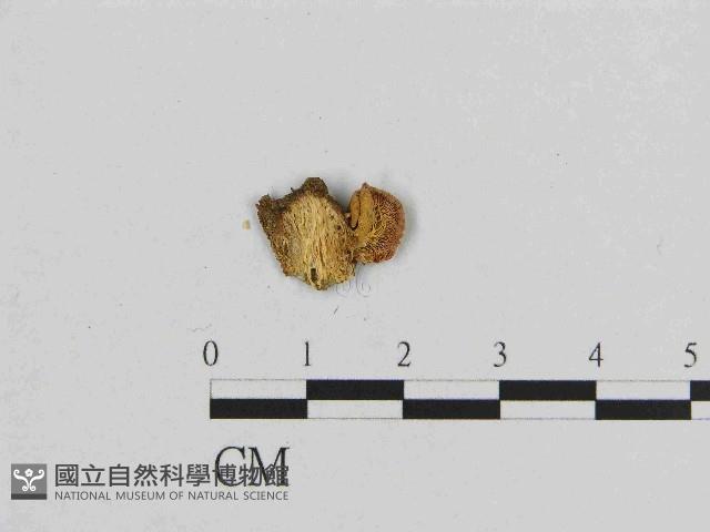 Accession Number:F0014612 Collection Image, Figure 3, Total 3 Figures