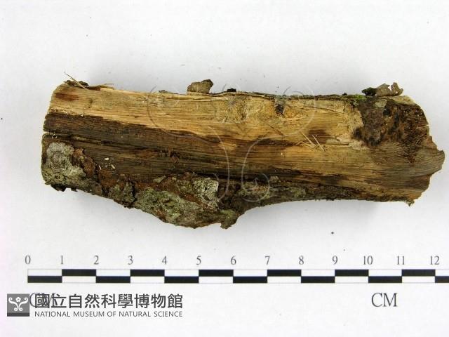 登錄號:F0022612藏品圖，第3張