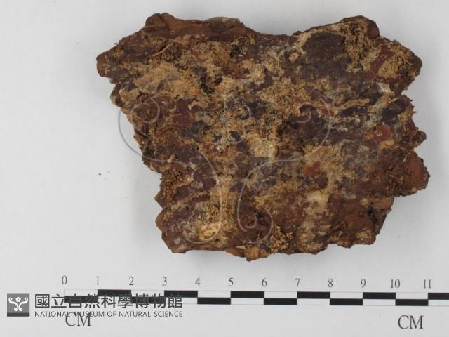 登錄號:F0009612藏品圖，第3張