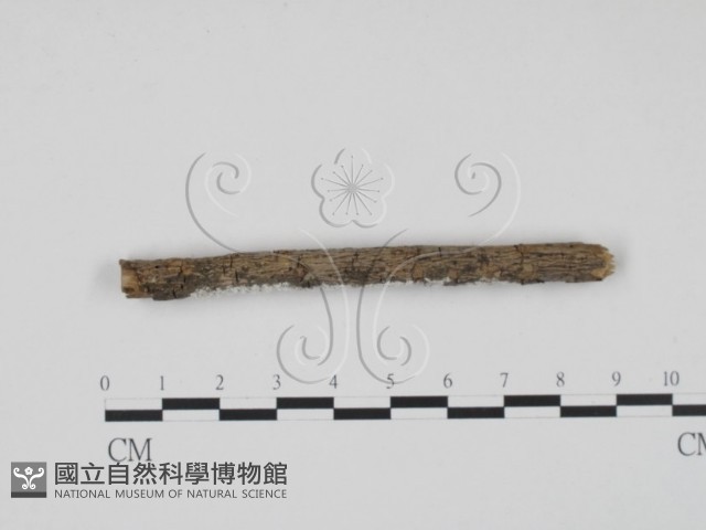 登錄號:F0003612藏品圖，第3張