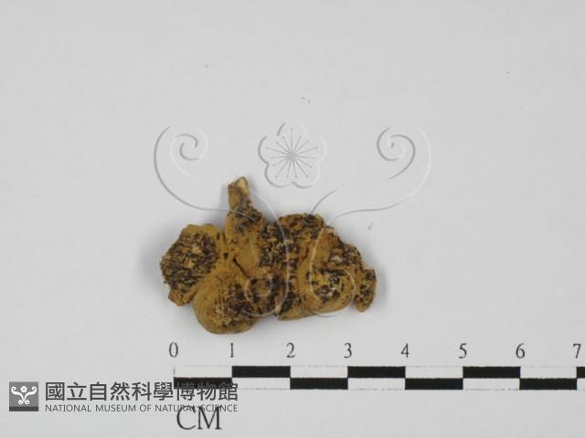 登錄號:F0027412藏品圖，第3張