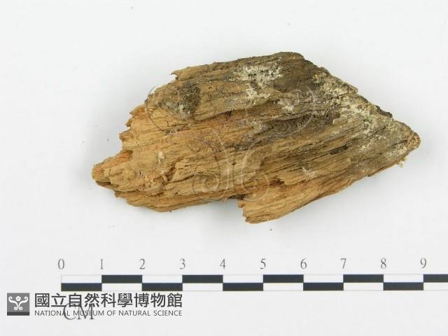 登錄號:F0009412藏品圖，第3張