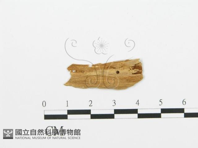 登錄號:F0016712藏品圖，第3張