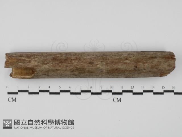 登錄號:F0004712藏品圖，第3張