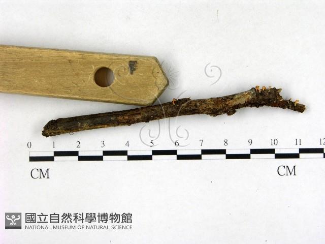 登錄號:F0022712藏品圖，第3張