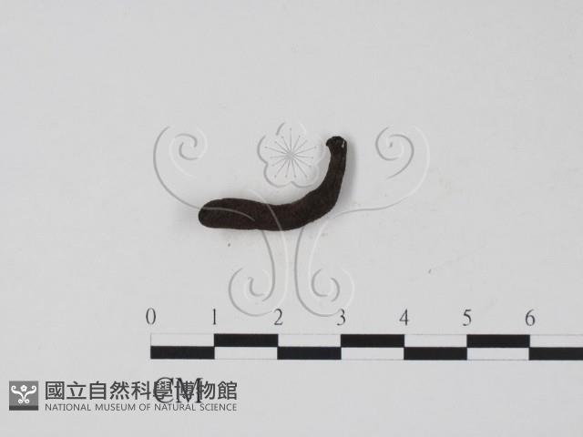 登錄號:F0007712藏品圖，第3張