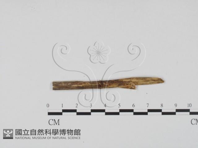 登錄號:F0011512藏品圖，第3張