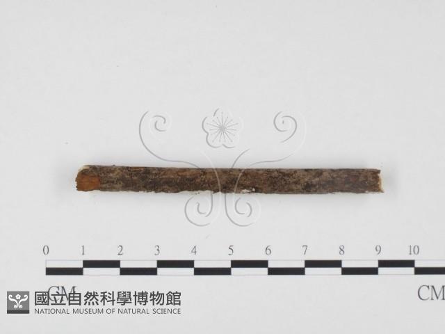 登錄號:F0000112藏品圖，第3張
