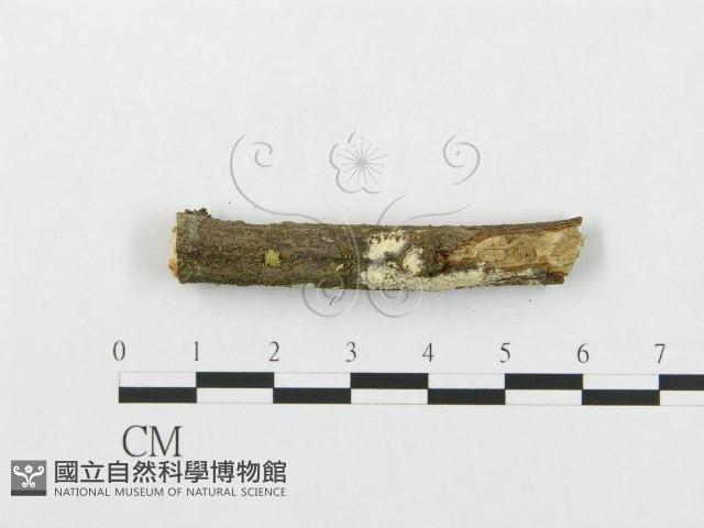 登錄號:F0001112藏品圖，第3張