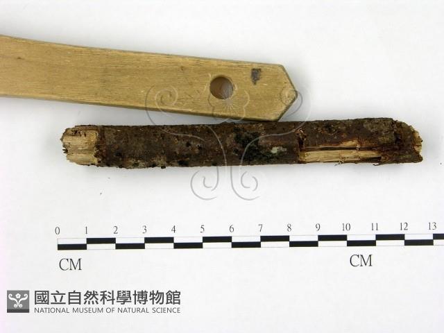 登錄號:F0001312藏品圖，第3張