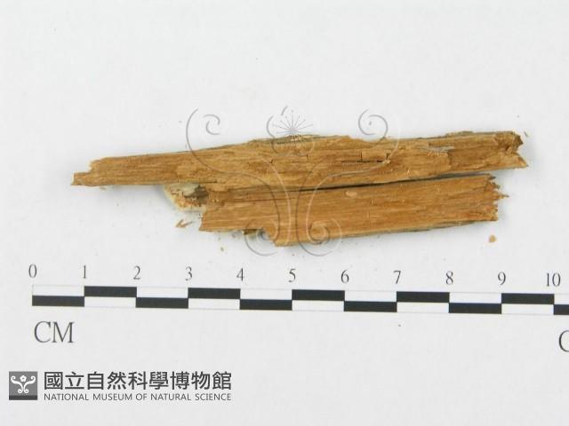 登錄號:F0008252藏品圖，第3張