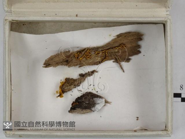 登錄號:F0023252藏品圖，第3張