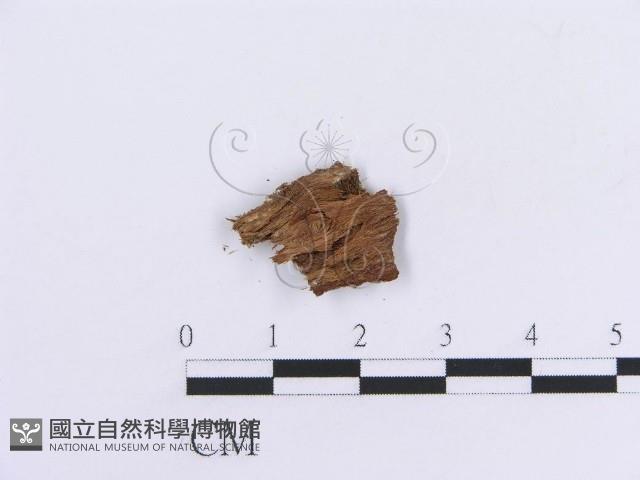 登錄號:F0016852藏品圖，第3張