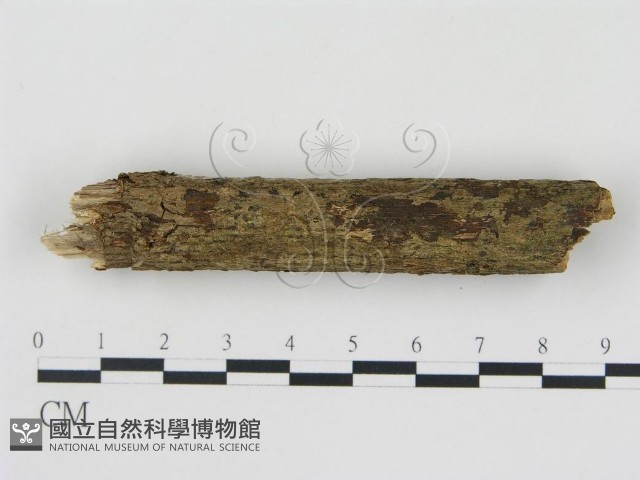 登錄號:F0008952藏品圖，第3張