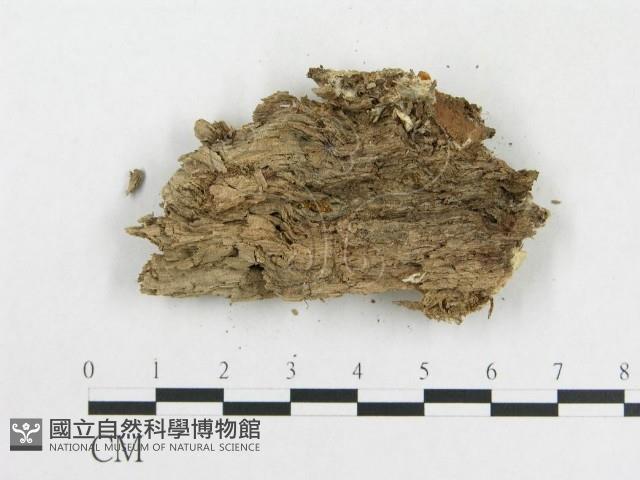 登錄號:F0000952藏品圖，第3張
