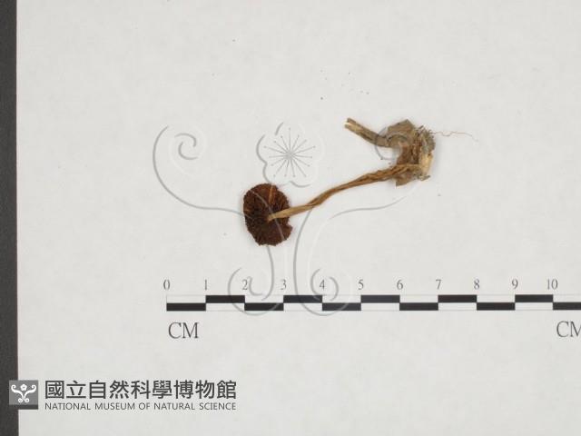 登錄號:F0025952藏品圖，第3張