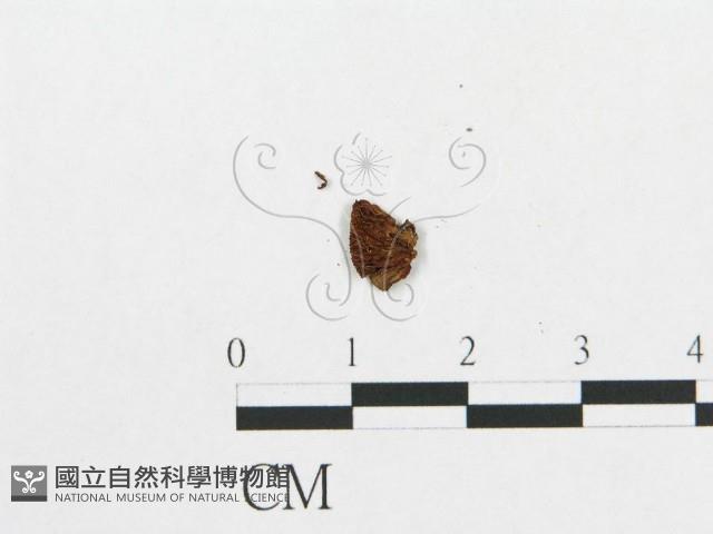 登錄號:F0015652藏品圖，第3張