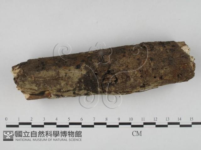 登錄號:F0022452藏品圖，第3張