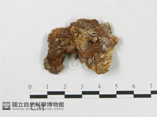 登錄號:F0017452藏品圖，第1張