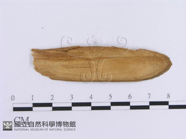 登錄號:F0016752藏品圖，第3張