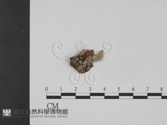 登錄號:F0007752藏品圖，第3張