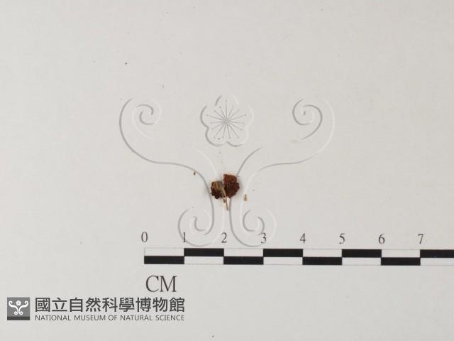 登錄號:F0023552藏品圖，第3張