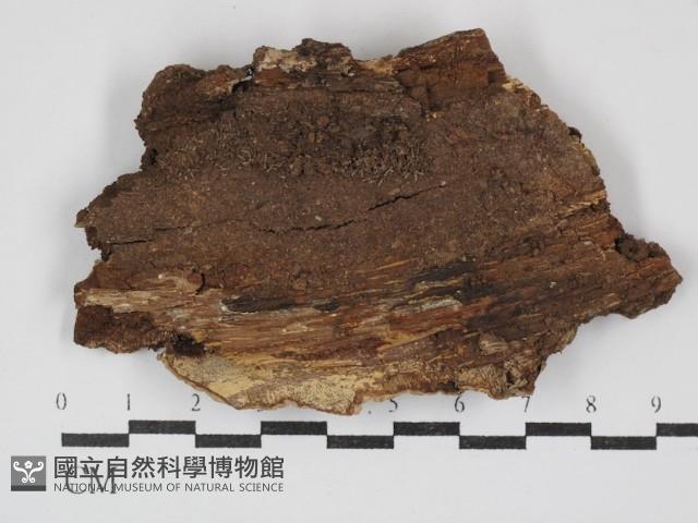 登錄號:F0030152藏品圖，第3張