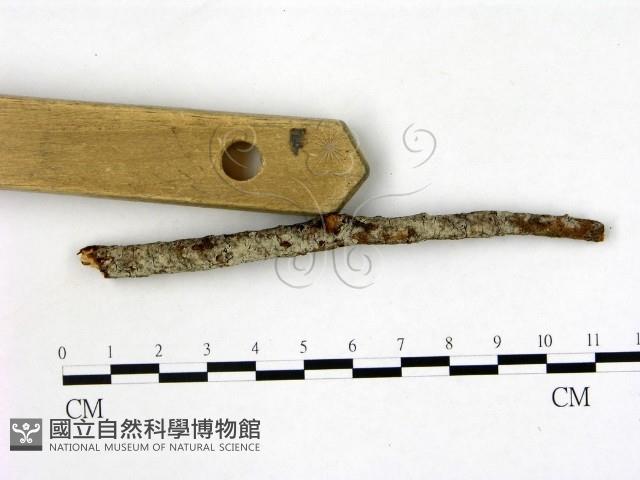 登錄號:F0022152藏品圖，第3張