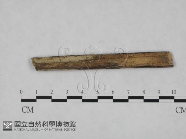 登錄號:F0012152藏品圖，第3張