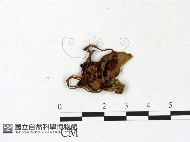 登錄號:F0023152藏品圖，第3張