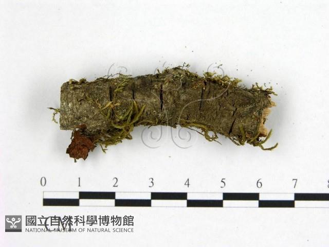登錄號:F0001052藏品圖，第3張