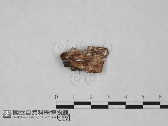 登錄號:F0025052藏品圖，第3張