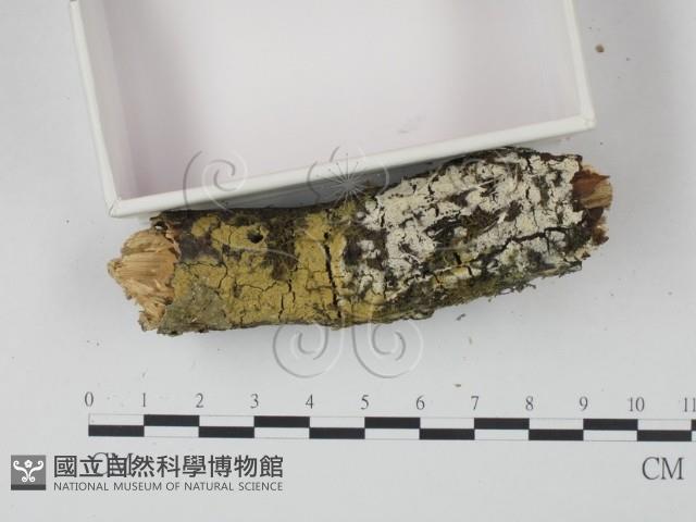 登錄號:F0022242藏品圖，第3張