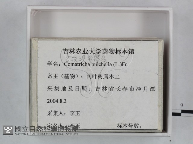 登錄號:F0023242藏品圖，第3張