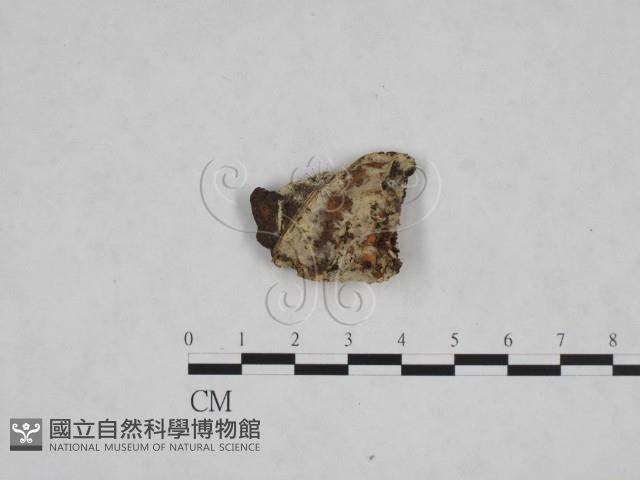 登錄號:F0024842藏品圖，第3張