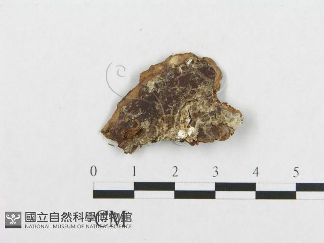 登錄號:F0005942藏品圖，第3張