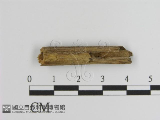 登錄號:F0009942藏品圖，第3張
