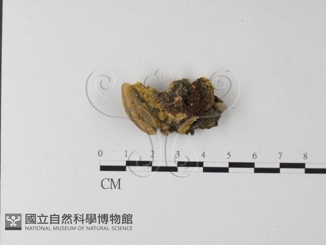 登錄號:F0023942藏品圖，第3張