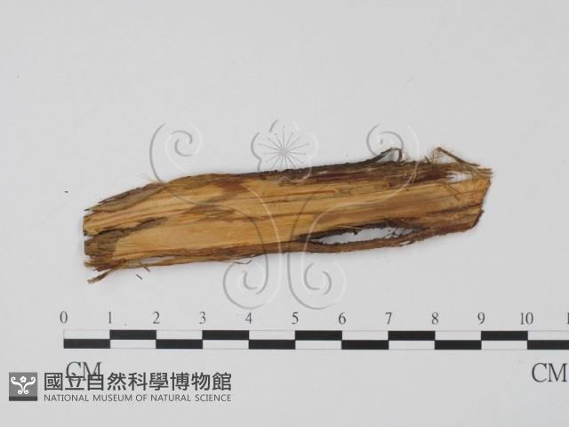 登錄號:F0011442藏品圖，第3張