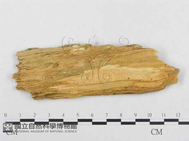 登錄號:F0008142藏品圖，第3張