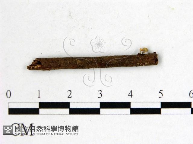 登錄號:F0001142藏品圖，第3張