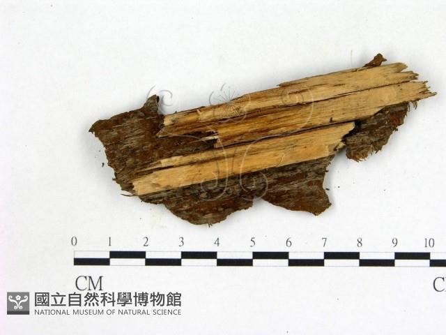 登錄號:F0014142藏品圖，第3張