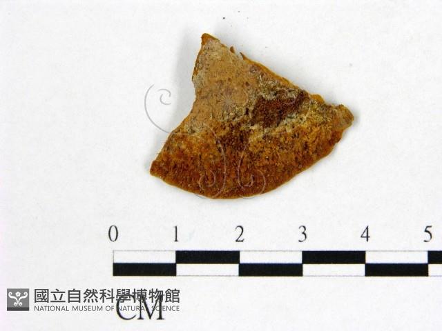 登錄號:F0016042藏品圖，第3張