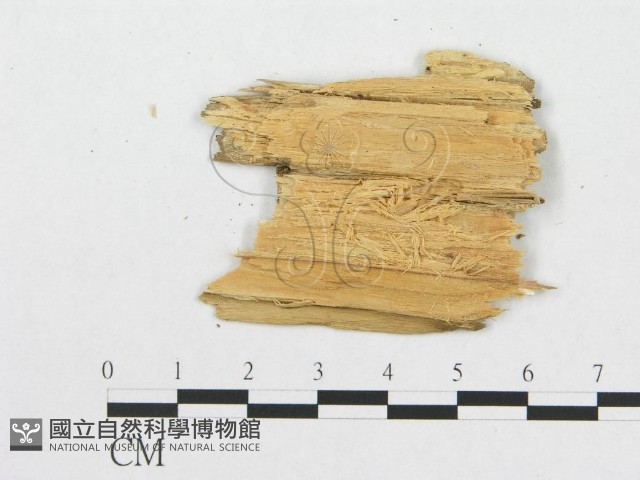 登錄號:F0008342藏品圖，第3張