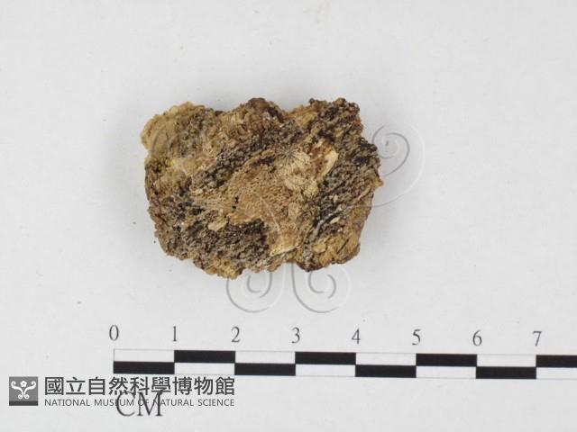 登錄號:F0026832藏品圖，第3張