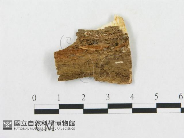 登錄號:F0005932藏品圖，第3張