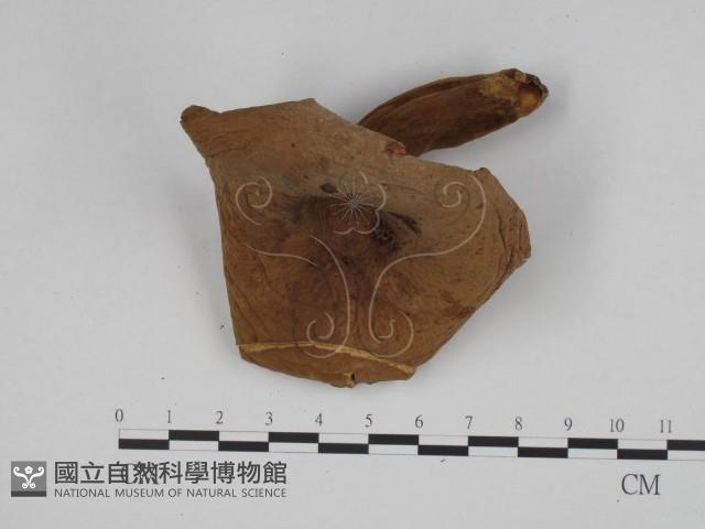 登錄號:F0024632藏品圖，第3張