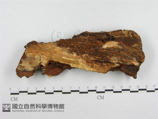 登錄號:F0004632藏品圖，第3張